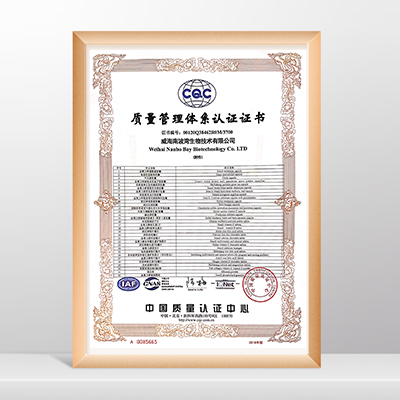 质量管理体系认证证书