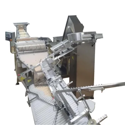 泡腾片数片装瓶机